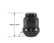 Load image into Gallery viewer, Perfectly Tight 17mm Hex Lug Nut Tapered Seat 10x1.25 x 28mm - Black Steel - Set of 16